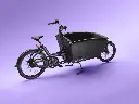UA_FamilyNext_purple_wideshot_lights_on.webp