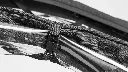 9999-99_Canopy_Canopy_Detail_Studio_f101261.webp