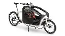9999-99_TwinSeat_withoutSeatBelts_Studio_TwinSeat_f100985.webp