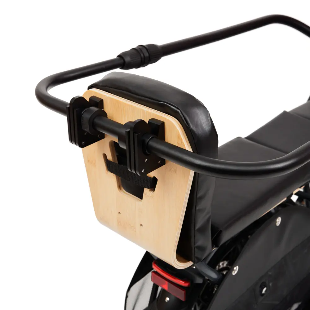 RollerCoaster-Pivotable-1 (1).webp